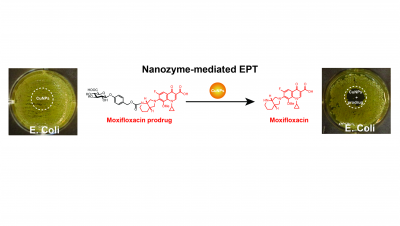 TOC_nanozymes_normal