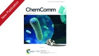 Our work “Innate glycosidic activity in metallic implants for localized synthesis of antibacterial drugs” has been published in Chemical Communications. The work has been featured in the cover of the […]