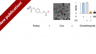 Our work “Ceria Nanozyme and Phosphate Prodrugs: Drug Synthesis through Enzyme Mimicry” has been published in ACS Applied Materials & Interfaces. Nanozymes can mimic the activities of diverse enzymes, and […]